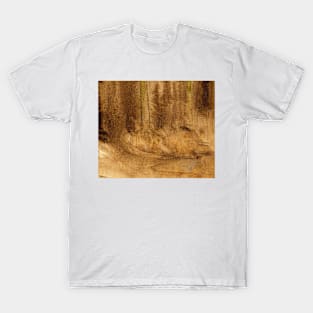 Abstract Oil Painting Mustard Yellow 12c8 T-Shirt